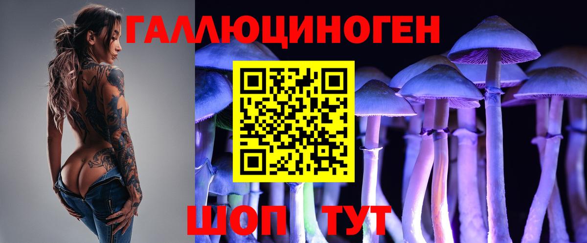 Галлюциногенные грибы мухоморы  Вход с VPN  сколько стоит  Шарыпово 